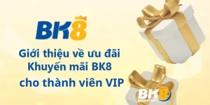 Khuyến mãi của BK8 dành cho khách hàng VIP
